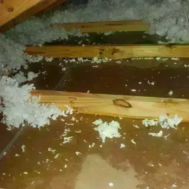 Attic Water Damage in Park River, ND