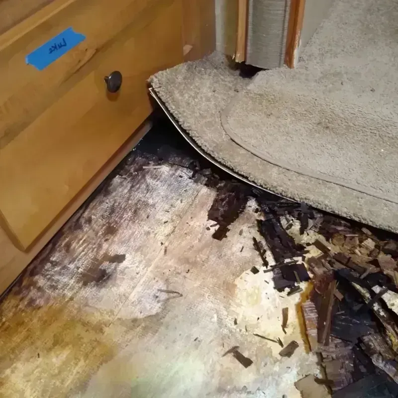 Wood Floor Water Damage in Park River, ND